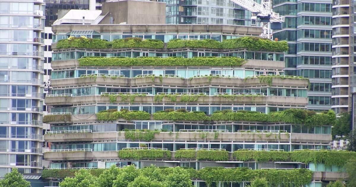 Green Roof, Vancouver BC, featured image for Brand authority signals for real estate and construction in Paraguay